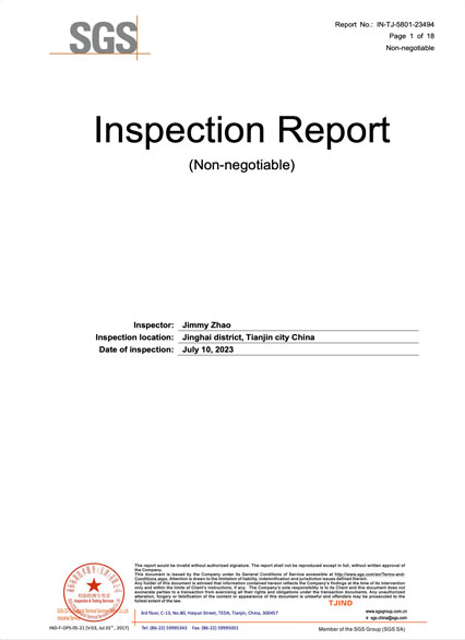 reporte de inspección